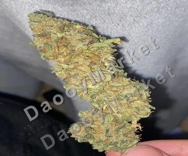 Indoor grown - Somango