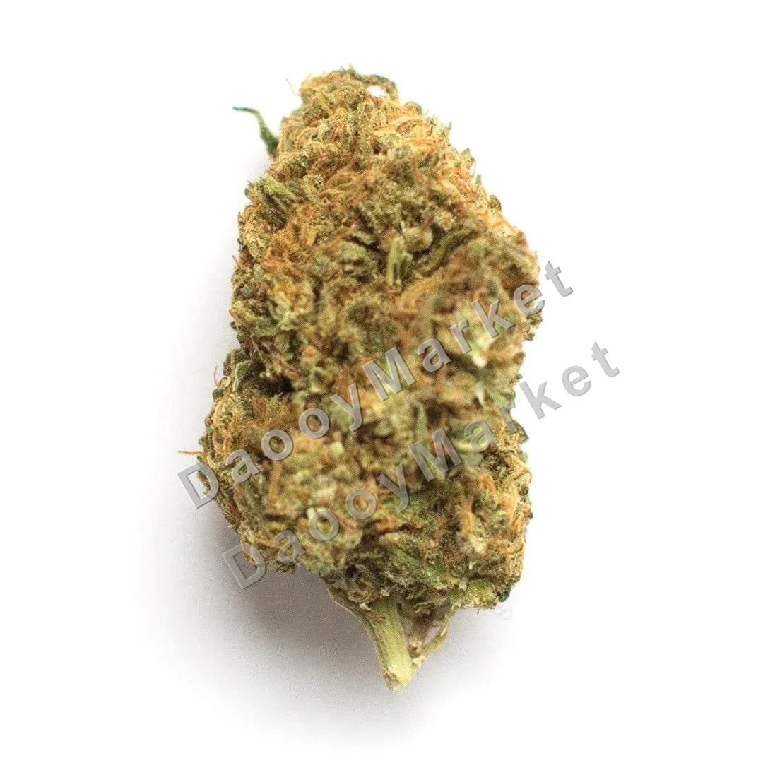 ๐ช๐ธ โญ GREEN POISON โญ ๐ช๐ธ OUTDOOR TOP ORGANIC WEED โ