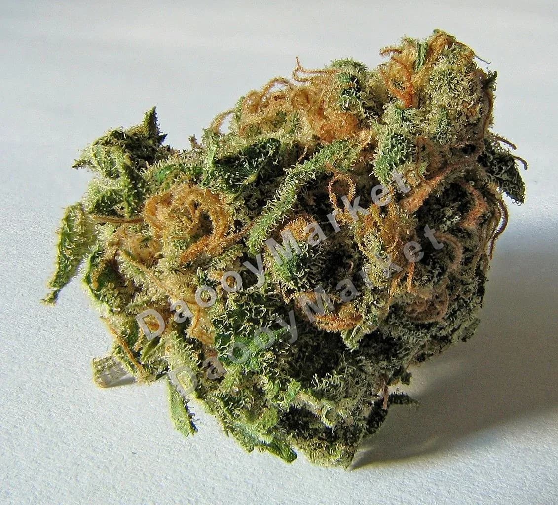 3 gram Bruce Banner buds