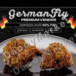 AMNESIA HAZE