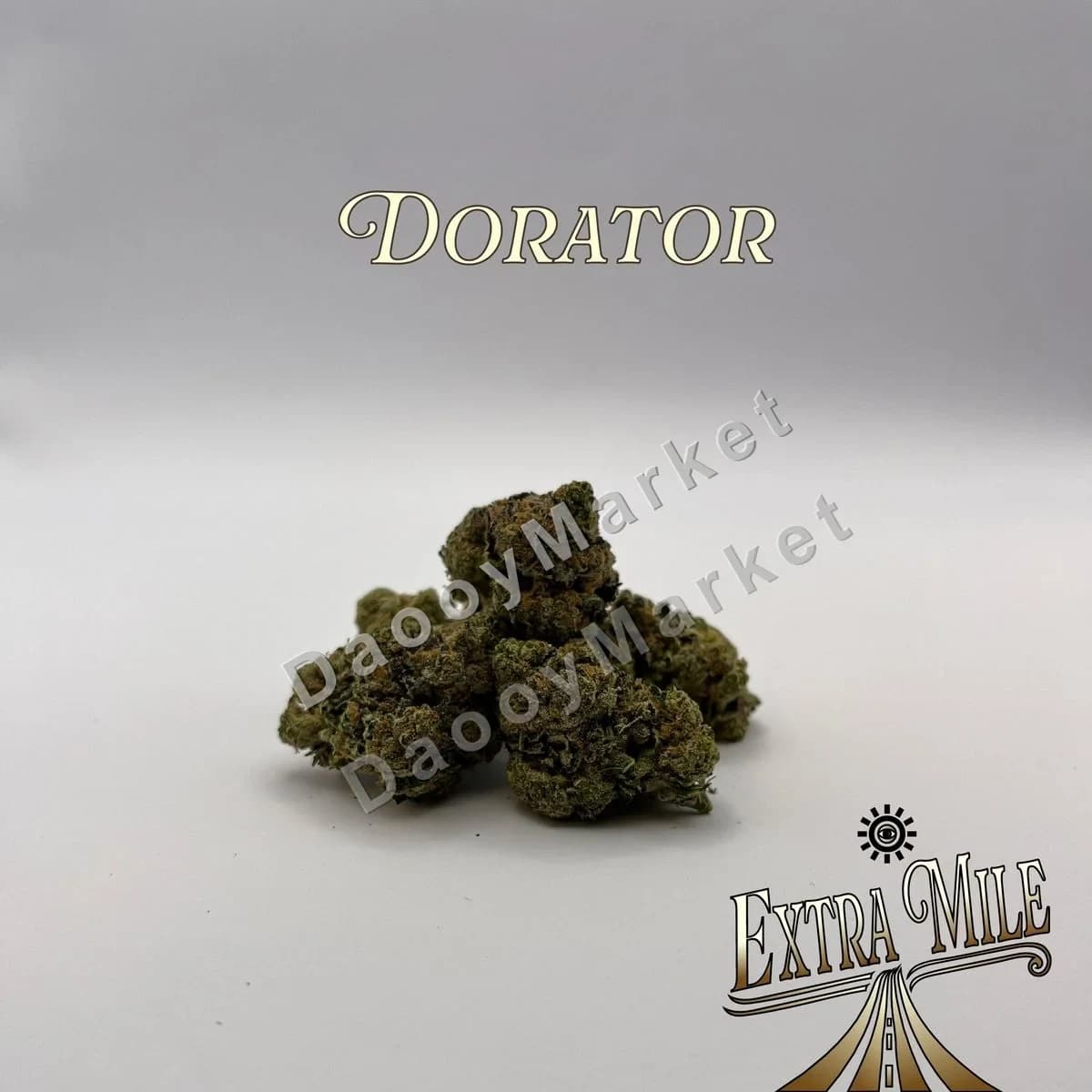 🌿 Dorator 🌿