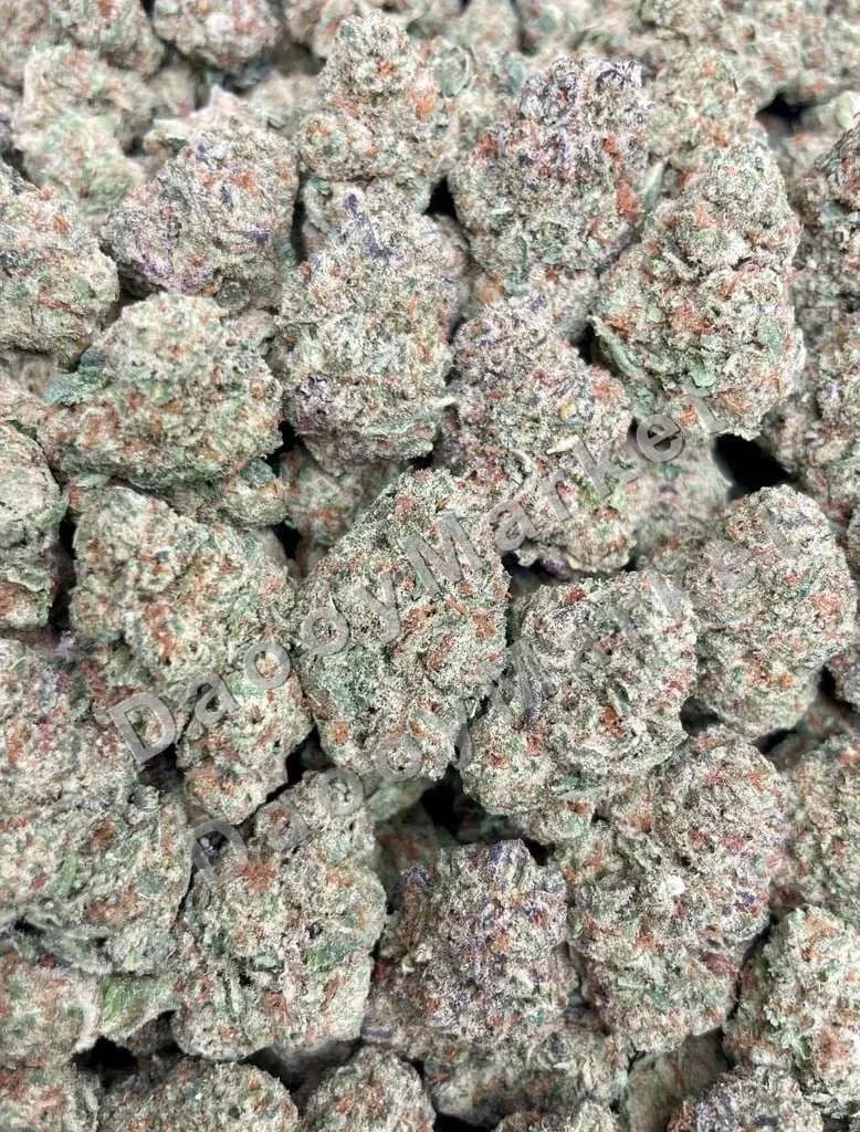Gelato 41 Belts ๐บ๐ธ