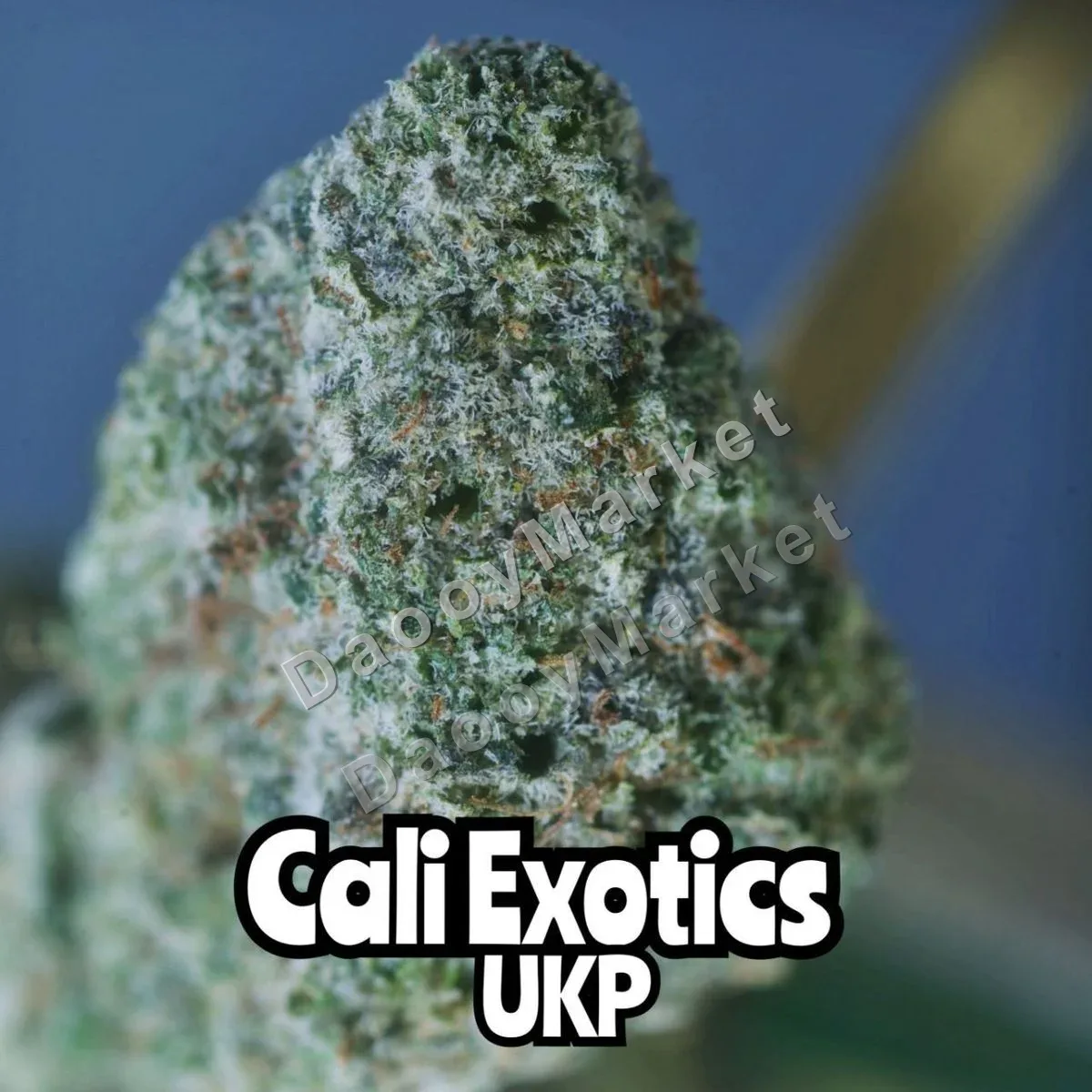 ๐บ๐ธ EXOTICS ๐ (sale price)