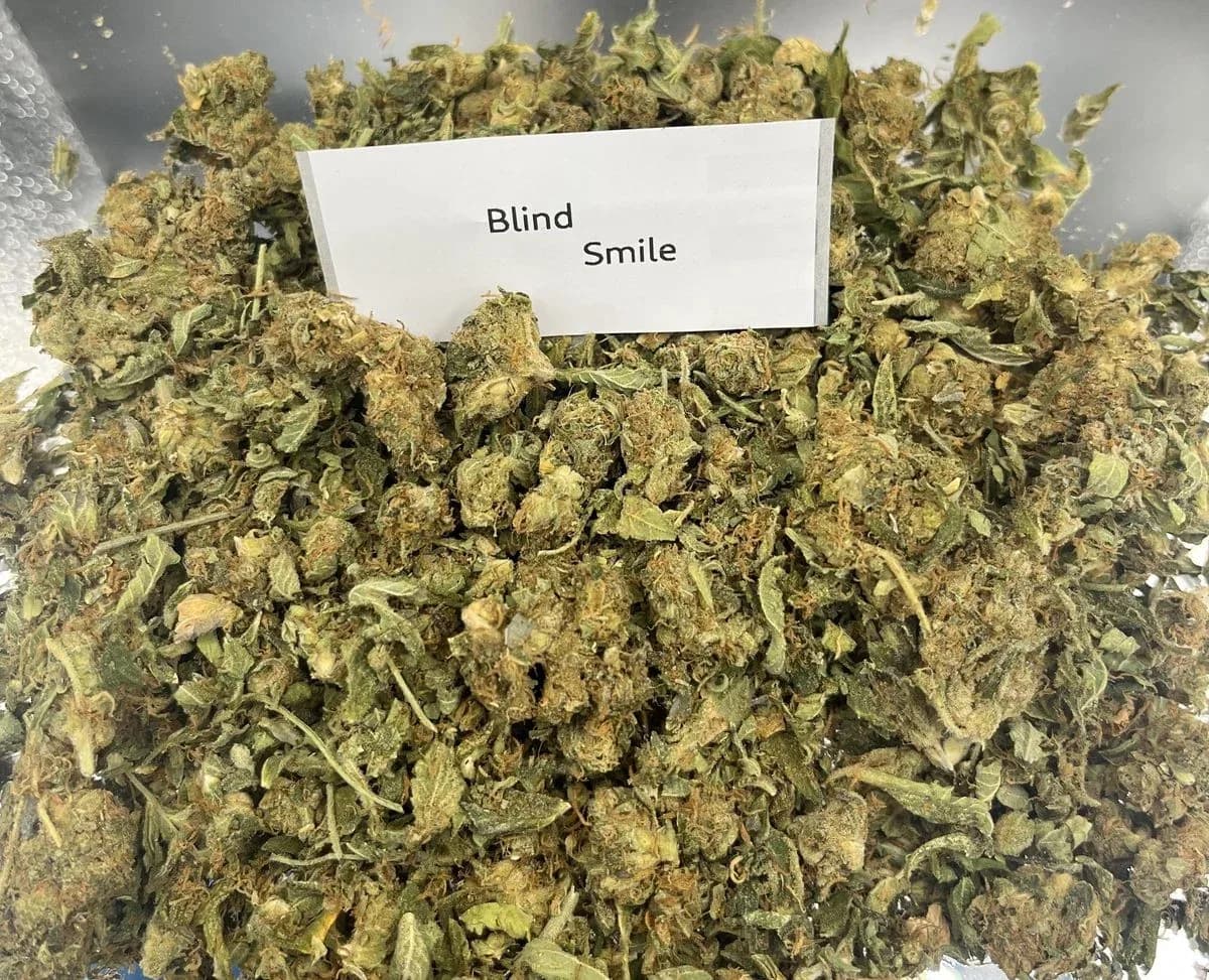 Flavor Criminal Shake