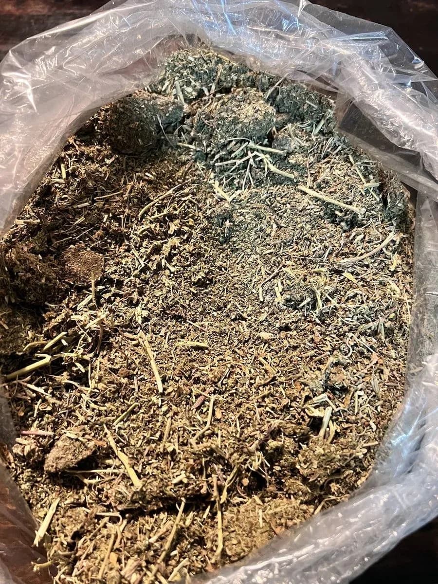 SHAKE MARIJUANA